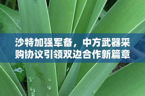 沙特加强军备，中方武器采购协议引领双边合作新篇章