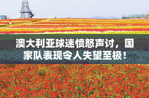 澳大利亚球迷愤怒声讨，国家队表现令人失望至极！