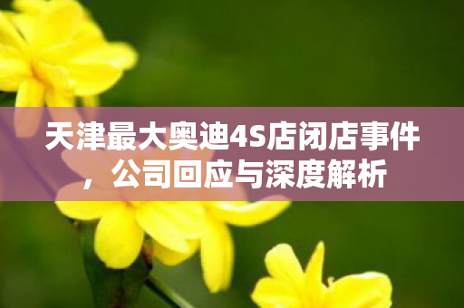 天津最大奥迪4S店闭店事件，公司回应与深度解析