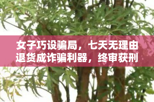 女子巧设骗局，七天无理由退货成诈骗利器，终审获刑，警醒消费者与商家
