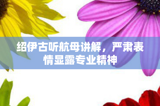 绍伊古听航母讲解，严肃表情显露专业精神