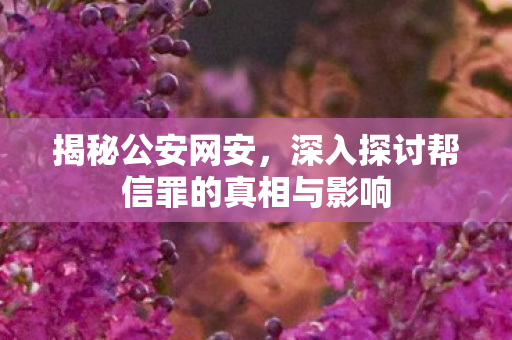 揭秘公安网安，深入探讨帮信罪的真相与影响