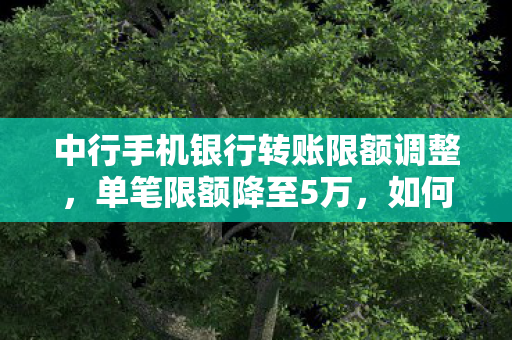 中行手机银行转账限额调整，单笔限额降至5万，如何应对与适应新规？