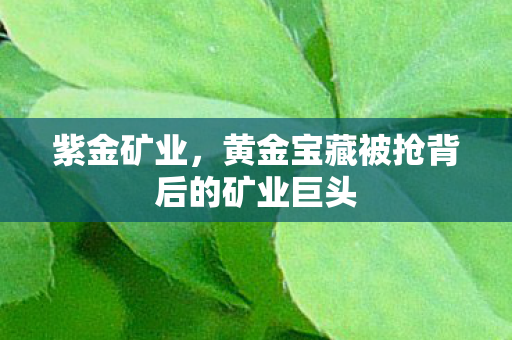 紫金矿业，黄金宝藏被抢背后的矿业巨头