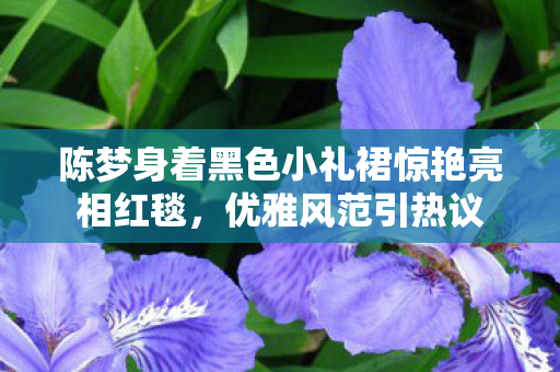陈梦身着黑色小礼裙惊艳亮相红毯，优雅风范引热议