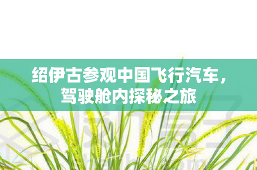 绍伊古参观中国飞行汽车，驾驶舱内探秘之旅