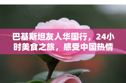 巴基斯坦友人华国行，24小时美食之旅，感受中国热情与美食魅力