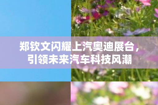 郑钦文闪耀上汽奥迪展台，引领未来汽车科技风潮