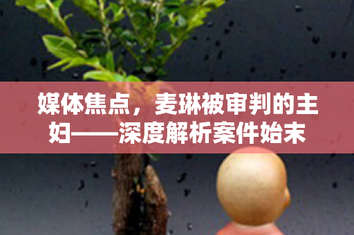 媒体焦点，麦琳被审判的主妇——深度解析案件始末
