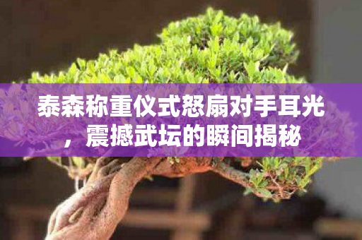 泰森称重仪式怒扇对手耳光，震撼武坛的瞬间揭秘
