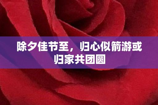 除夕佳节至，归心似箭游或归家共团圆