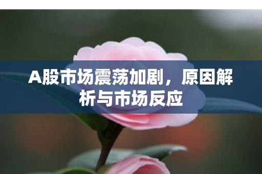 A股市场震荡加剧，原因解析与市场反应