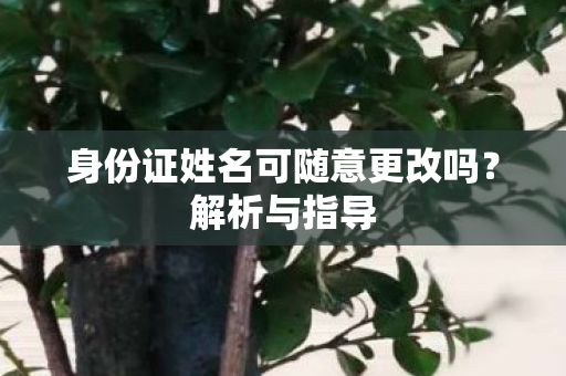 身份证姓名可随意更改吗？解析与指导