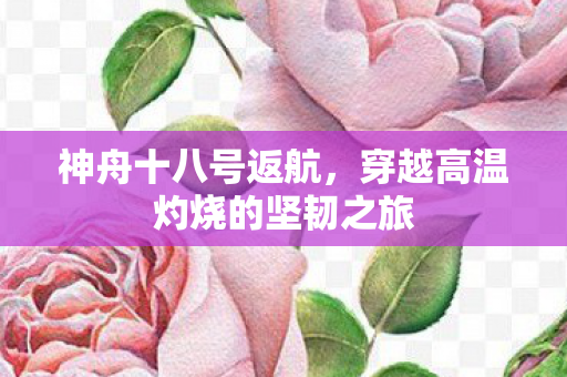 神舟十八号返航，穿越高温灼烧的坚韧之旅