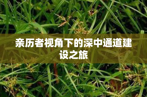 亲历者视角下的深中通道建设之旅
