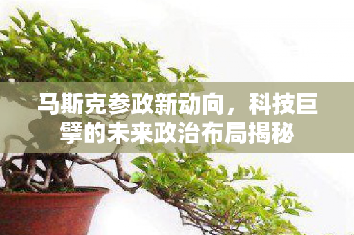 马斯克参政新动向，科技巨擘的未来政治布局揭秘