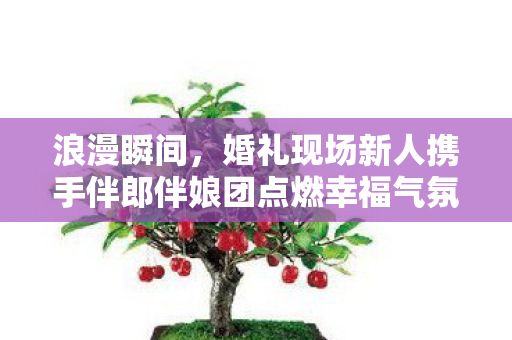 浪漫瞬间，婚礼现场新人携手伴郎伴娘团点燃幸福气氛