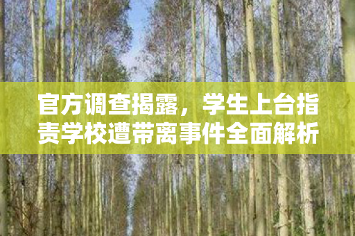 官方调查揭露，学生上台指责学校遭带离事件全面解析