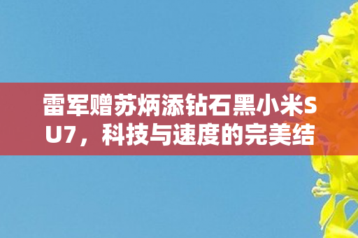 雷军赠苏炳添钻石黑小米SU7，科技与速度的完美结合