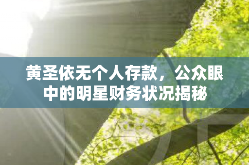 黄圣依无个人存款，公众眼中的明星财务状况揭秘