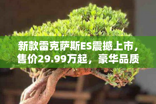 新款雷克萨斯ES震撼上市，售价29.99万起，豪华品质尽显无遗