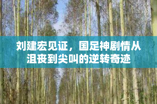 刘建宏见证，国足神剧情从沮丧到尖叫的逆转奇迹