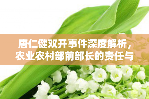 唐仁健双开事件深度解析，农业农村部前部长的责任与反思