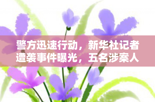警方迅速行动，新华社记者遭袭事件曝光，五名涉案人员被拘留