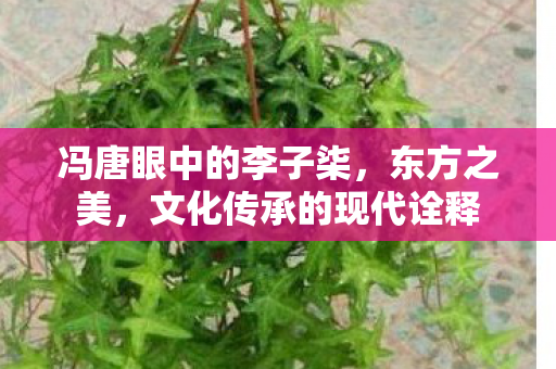 冯唐眼中的李子柒，东方之美，文化传承的现代诠释