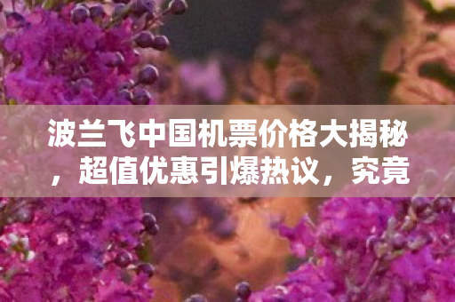 波兰飞中国机票价格大揭秘，超值优惠引爆热议，究竟是何原因？