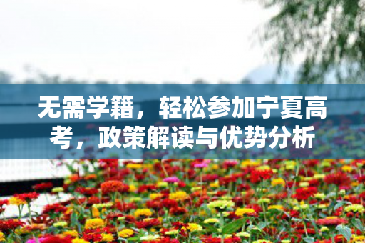 无需学籍，轻松参加宁夏高考，政策解读与优势分析