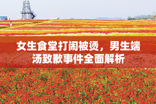 女生食堂打闹被烫，男生端汤致歉事件全面解析