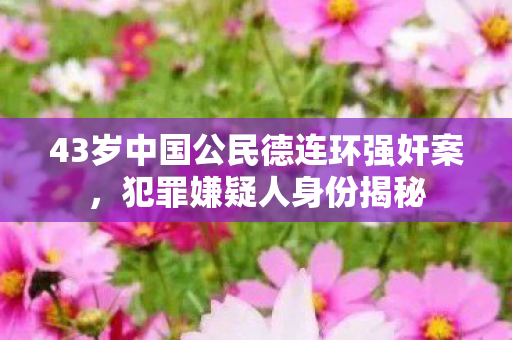 43岁中国公民德连环强奸案，犯罪嫌疑人身份揭秘