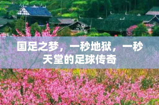 国足之梦，一秒地狱，一秒天堂的足球传奇