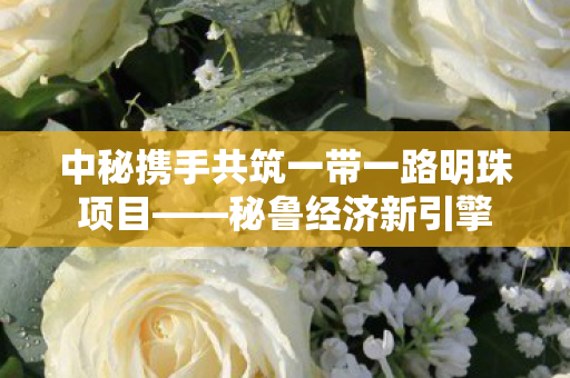 中秘携手共筑一带一路明珠项目——秘鲁经济新引擎