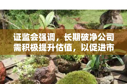 证监会强调，长期破净公司需积极提升估值，以促进市场健康发展