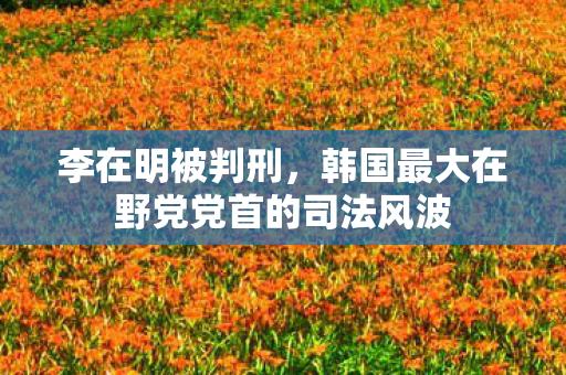 李在明被判刑，韩国最大在野党党首的司法风波