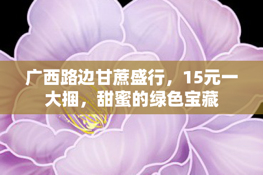广西路边甘蔗盛行，15元一大捆，甜蜜的绿色宝藏