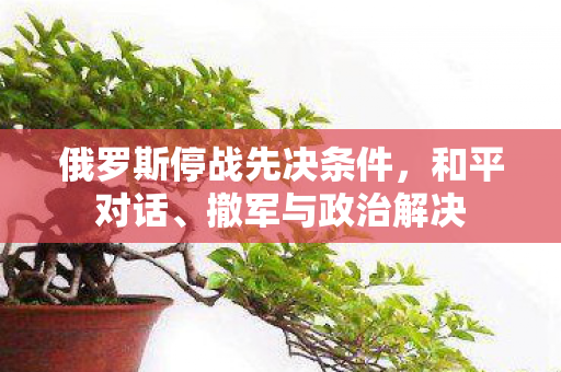 俄罗斯停战先决条件，和平对话、撤军与政治解决