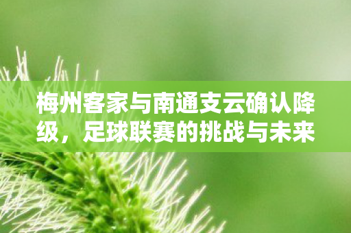 梅州客家与南通支云确认降级，足球联赛的挑战与未来展望