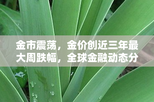 金市震荡，金价创近三年最大周跌幅，全球金融动态分析