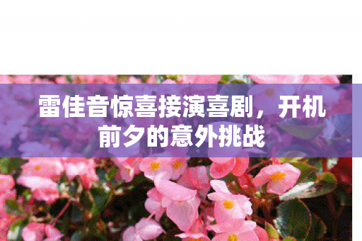 雷佳音惊喜接演喜剧，开机前夕的意外挑战