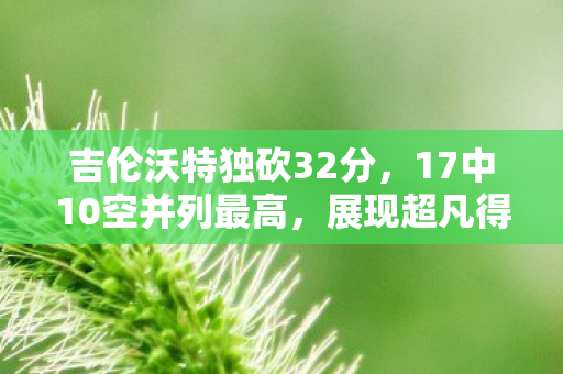吉伦沃特独砍32分，17中10空并列最高，展现超凡得分能力