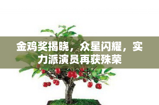 金鸡奖揭晓，众星闪耀，实力派演员再获殊荣