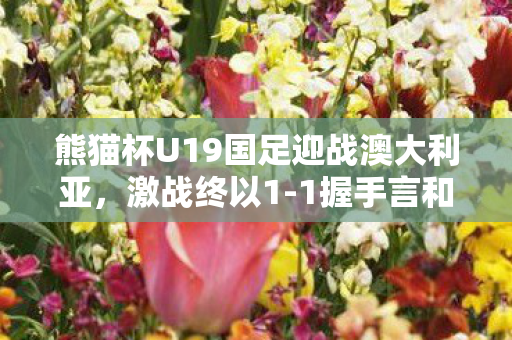 熊猫杯U19国足迎战澳大利亚，激战终以1-1握手言和