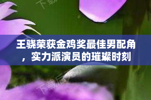 王骁荣获金鸡奖最佳男配角，实力派演员的璀璨时刻