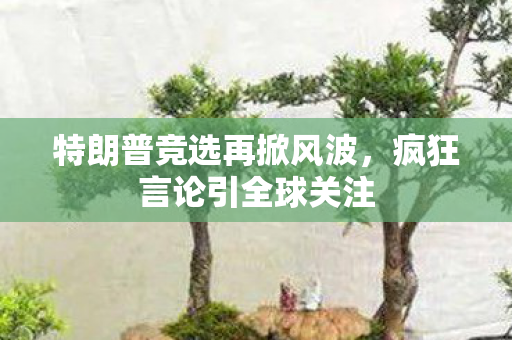 特朗普竞选再掀风波，疯狂言论引全球关注