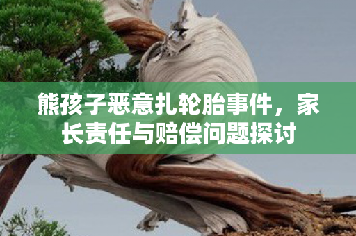 熊孩子恶意扎轮胎事件，家长责任与赔偿问题探讨