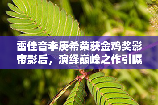 雷佳音李庚希荣获金鸡奖影帝影后，演绎巅峰之作引瞩目