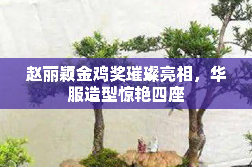 赵丽颖金鸡奖璀璨亮相，华服造型惊艳四座